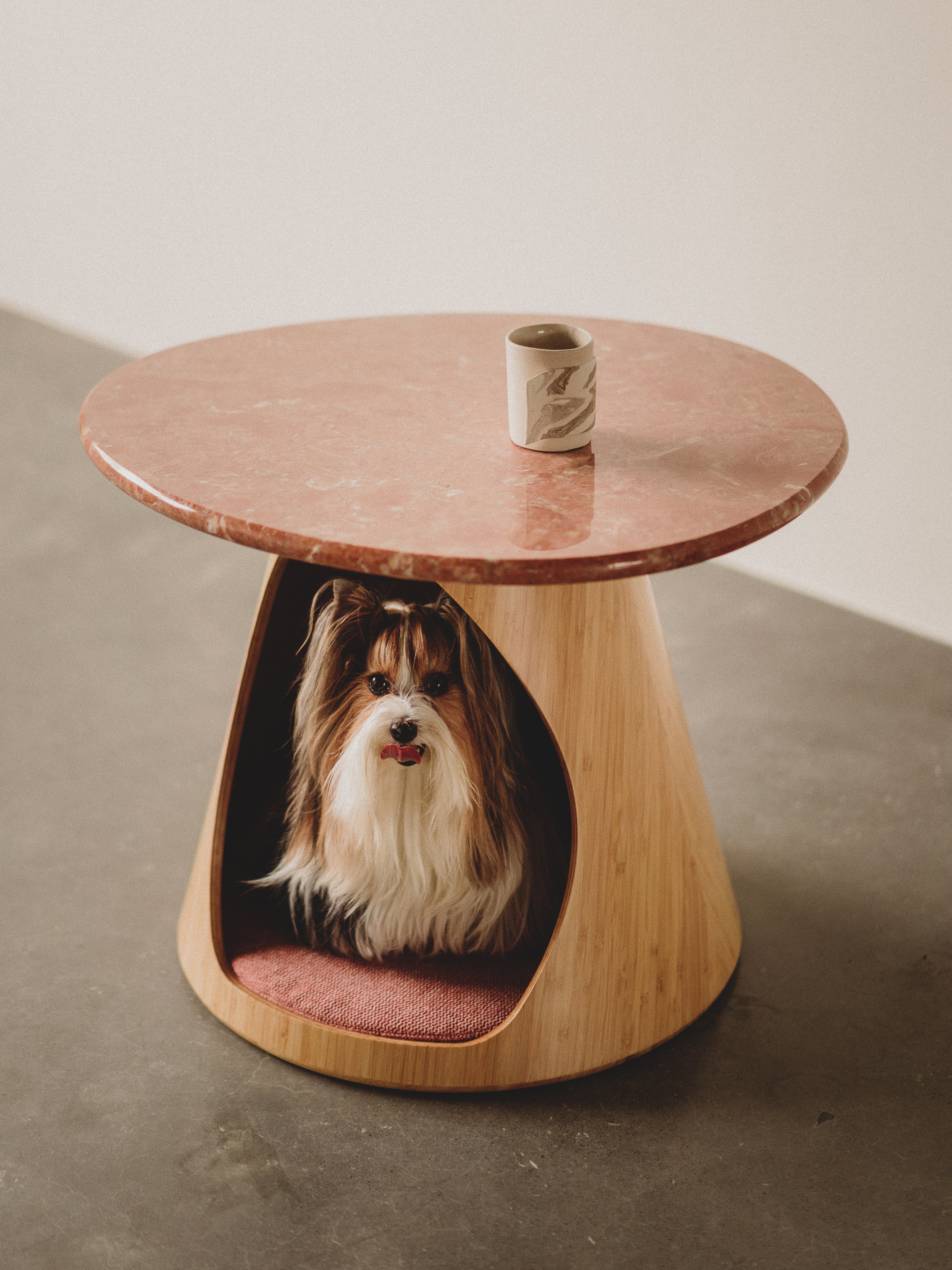 Co-living Furniture