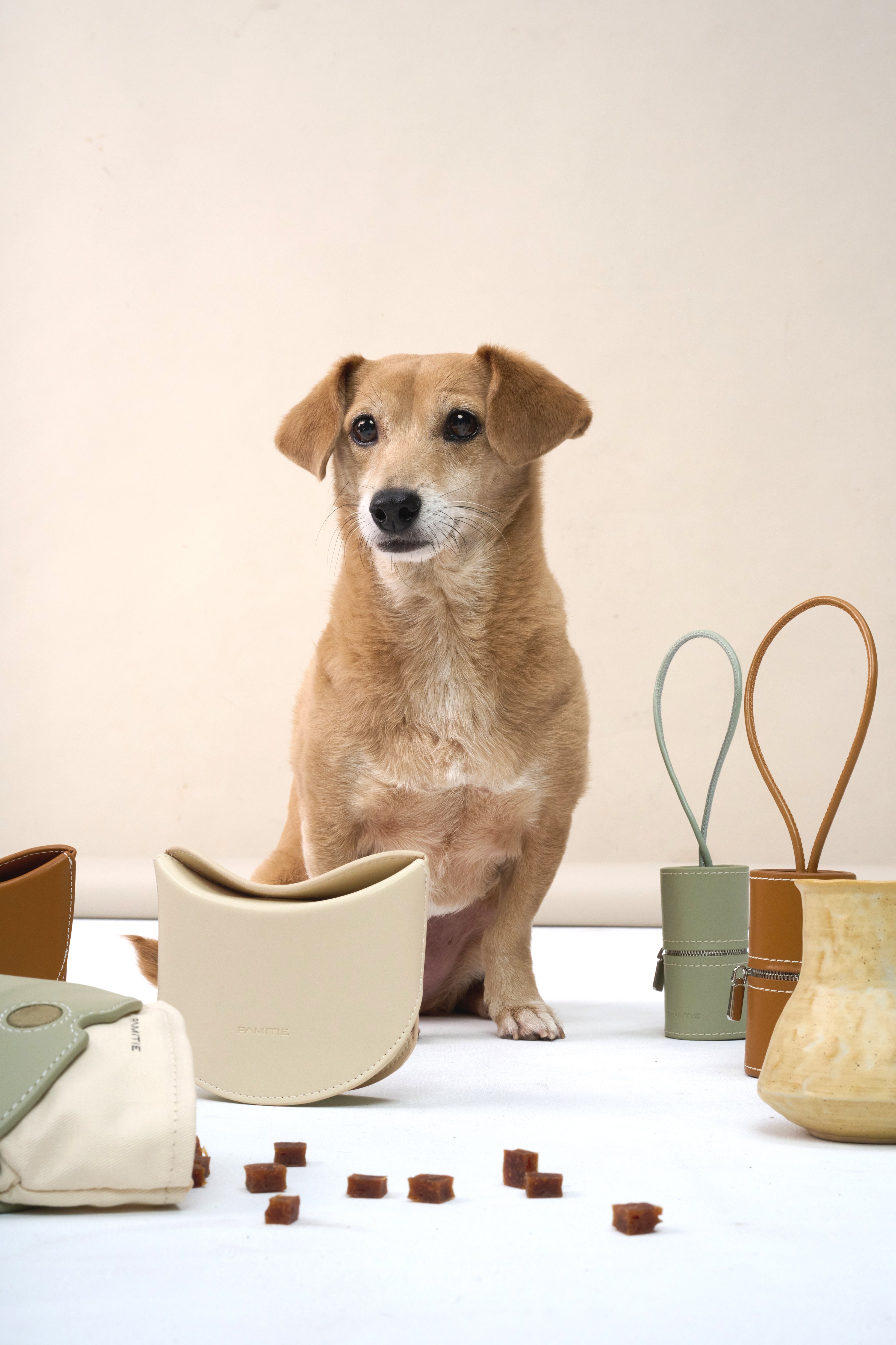 The Joie Bag 零食配件包
